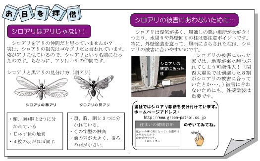 鎌倉市 茅ヶ崎市 藤沢市の外壁塗装・屋根塗装はグリーンパトロールへ　施工事例　屋根葺き替え及び外壁塗装工事