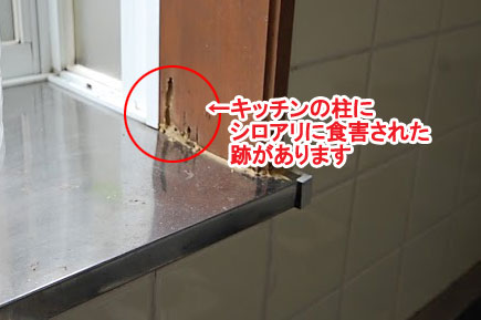 神奈川県寒川町K様邸 屋根修理 外壁塗装 シロアリ被害施工事例
