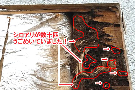 神奈川県寒川町K様邸 屋根修理 外壁塗装 シロアリ被害施工事例