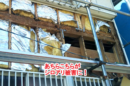 神奈川県寒川町K様邸 屋根修理 外壁塗装 シロアリ被害施工事例