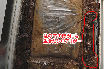 神奈川県寒川町K様邸 屋根修理 外壁塗装 シロアリ被害施工事例