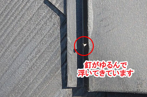 神奈川県 茅ヶ崎市 雨漏り 棟板金釘緩み･釘抜け