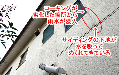 シロアリ被害修復工事 施工前 外壁コーキング劣化