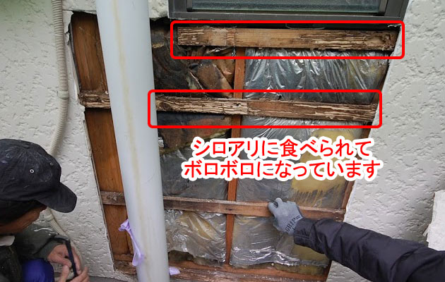 シロアリ被害修復工事 施工前 壁 シロアリ被害