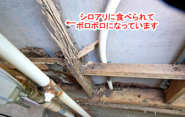 シロアリ被害修復工事 施工前 柱 シロアリ被害