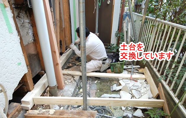 シロアリ被害修復工事 施工中 土台交換 シロアリ被害