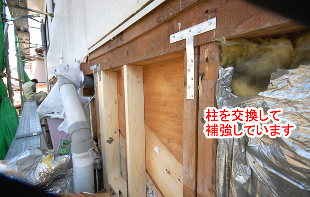 シロアリ被害修復工事 施工中 柱交換補強 シロアリ被害