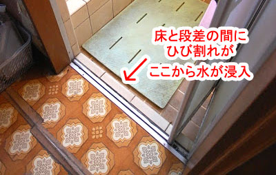 シロアリ被害修復工事 施工前 浴室・脱衣所 シロアリ被害