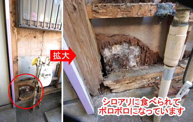 シロアリ被害修復工事 施工前 土台・間柱 シロアリ被害