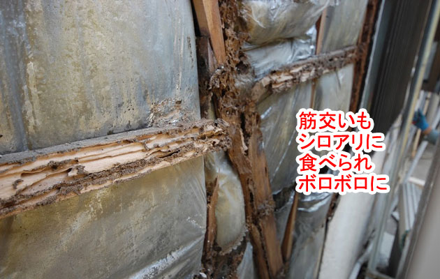 シロアリ被害修復工事 施工前 筋交い シロアリ被害