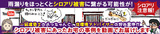 シロアリ被害事例