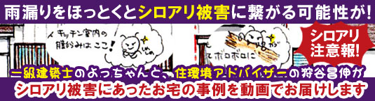 シロアリ被害事例