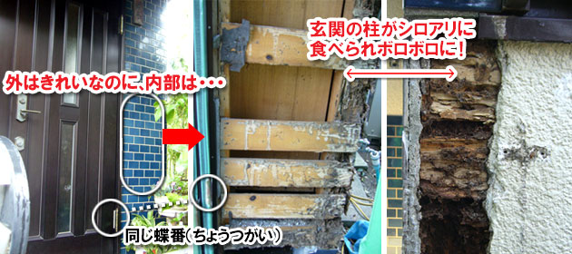 窓が開けにくい、玄関ドアが開けにくい、ちゃんと閉まらない・・はシロアリが原因かも～