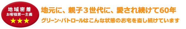 グリーン・パトロールはこんな状態のお宅を直し続けています