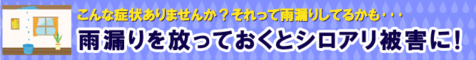 雨漏りを放っておくとシロアリ被害に!