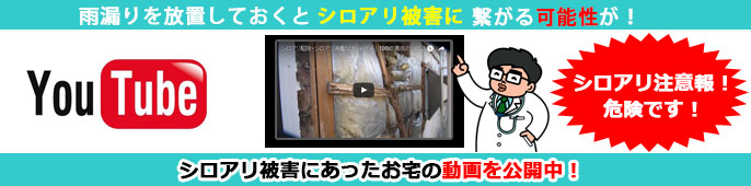 シロアリ被害にあった事例を動画でお届け
