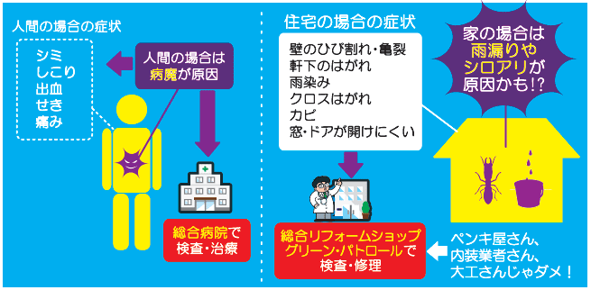 気になる症状、原因を突き止めなきゃ！