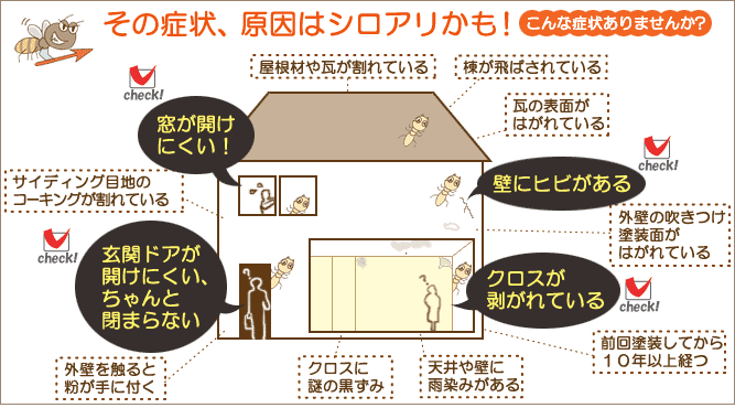 こんな症状はシロアリを疑え!