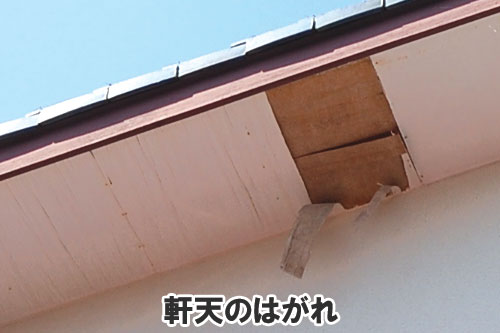 軒天のはがれ:天井や屋根裏に現れる異変・症状は、雨漏りが原因かも~雨漏り修理・屋根修理・屋根工事・屋根塗装・外壁塗装・防水工事なら屋根パトロール