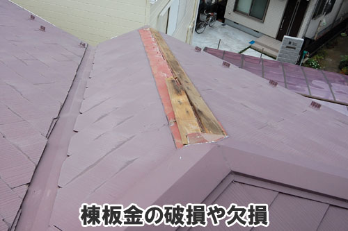 棟板金の破損や欠損:天井や屋根裏に現れる異変・症状は、雨漏りが原因かも~雨漏り修理・屋根修理・屋根工事・屋根塗装・外壁塗装・防水工事なら屋根パトロール