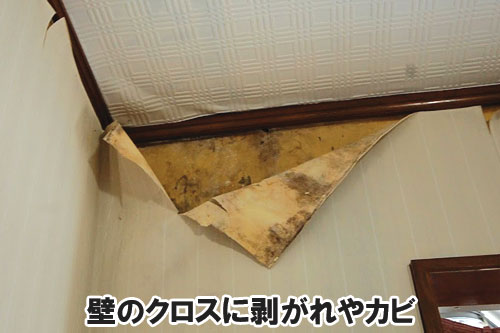 壁のクロスに剥がれやカビ:天井や屋根裏に現れる異変・症状は、雨漏りが原因かも~雨漏り修理・屋根修理・屋根工事・屋根塗装・外壁塗装・防水工事なら屋根パトロール