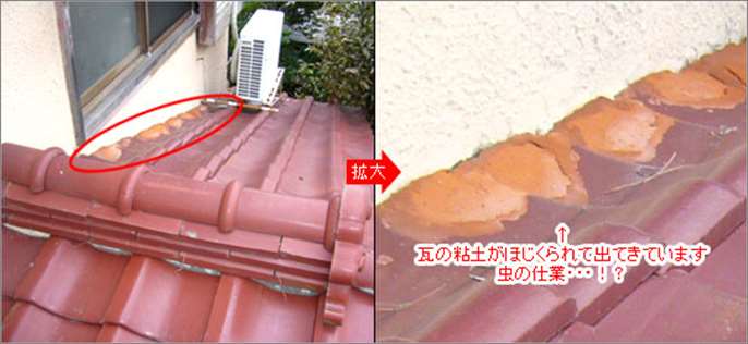 雨漏り修理,屋根修理,軒先修理,棟瓦の補修(漆喰補修)工事施工事例 修理 保険