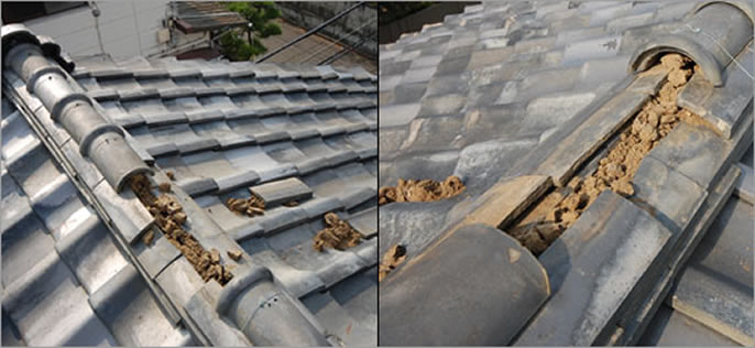 雨漏り修理、屋根修理、棟瓦修理工事 修理 保険