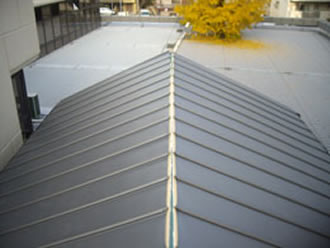 雨漏り修理、屋根修理工事 修理 保険