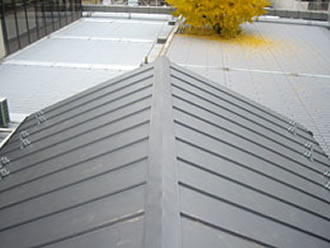 雨漏り修理、屋根修理工事 修理 保険