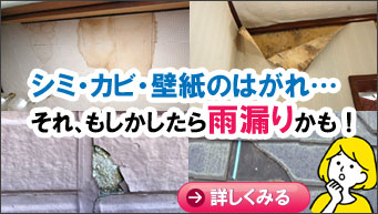 シミ・カビ・壁紙のはがれ…それ、もしかしたら雨漏りかも！