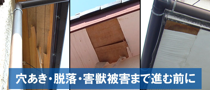 穴あき・脱落・害獣被害まで進む前に～ここに注意！軒天の主な劣化症状チェック