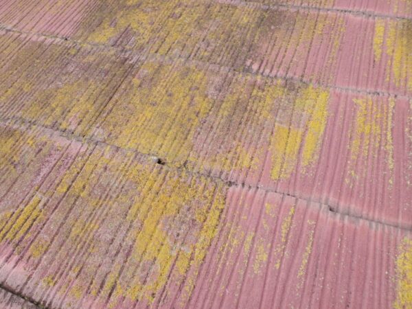 Y様邸 外壁・屋根・付帯部塗装工事-施工事例・神戸の方にもおすすめ