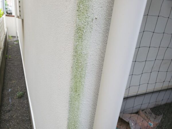 H様邸 外壁・付帯部塗装・バルコニー防水工事-施工事例・神戸の方にもおすすめ