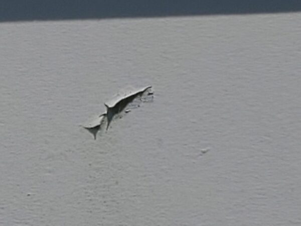 外壁塗膜剥がれています