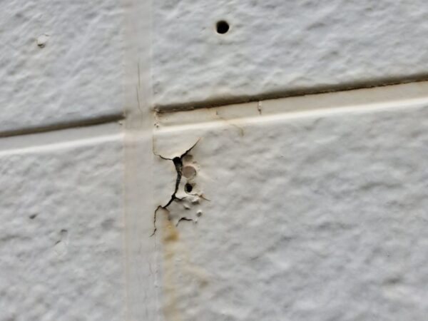 外壁塗膜剥がれています