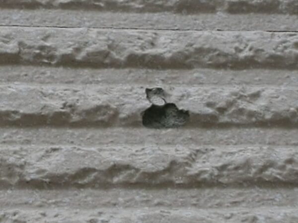 外壁欠落しています B様邸 外壁・屋根・付帯部・バルコニー防水工事-施工事例・神戸の方にもおすすめ